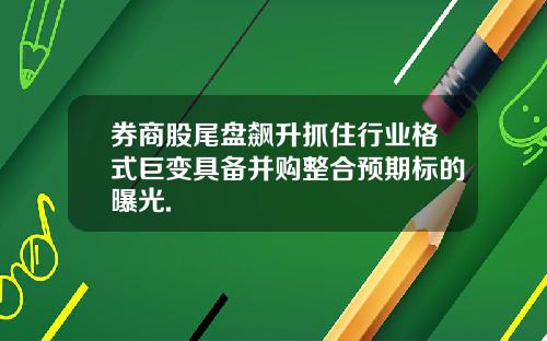 券商股尾盘飙升抓住行业格式巨变具备并购整合预期标的曝光.
