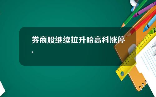 券商股继续拉升哈高科涨停.
