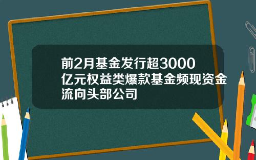 前2月基金发行超3000亿元权益类爆款基金频现资金流向头部公司