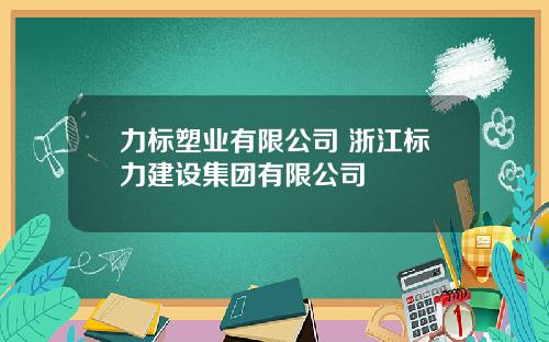 力标塑业有限公司 浙江标力建设集团有限公司