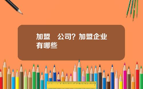 加盟   公司？加盟企业有哪些