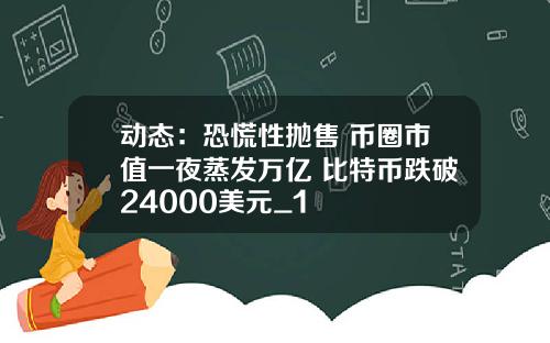 动态：恐慌性抛售 币圈市值一夜蒸发万亿 比特币跌破24000美元_1