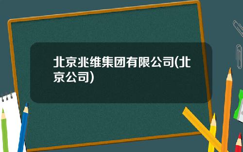 北京兆维集团有限公司(北京公司)