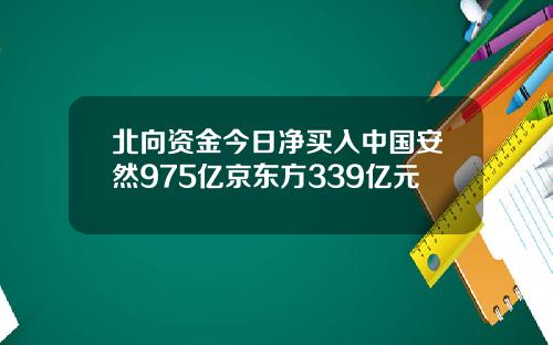 北向资金今日净买入中国安然975亿京东方339亿元