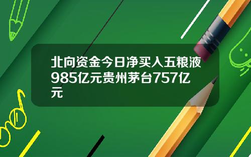 北向资金今日净买入五粮液985亿元贵州茅台757亿元