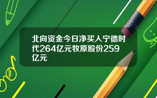 北向资金今日净买入宁德时代264亿元牧原股份259亿元