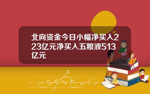 北向资金今日小幅净买入223亿元净买入五粮液513亿元