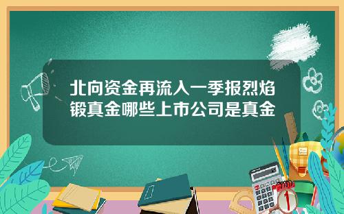 北向资金再流入一季报烈焰锻真金哪些上市公司是真金