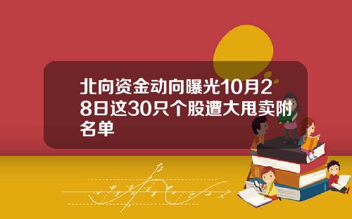 北向资金动向曝光10月28日这30只个股遭大甩卖附名单