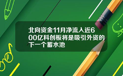 北向资金11月净流入近600亿科创板将是吸引外资的下一个蓄水池