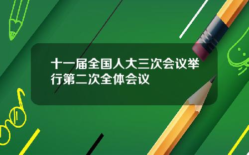 十一届全国人大三次会议举行第二次全体会议