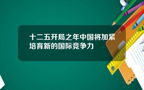 十二五开局之年中国将加紧培育新的国际竞争力