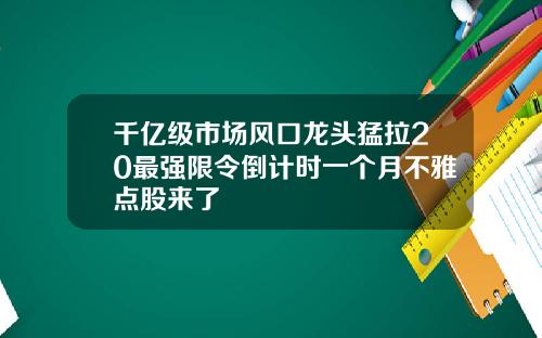 千亿级市场风口龙头猛拉20最强限令倒计时一个月不雅点股来了