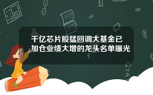 千亿芯片股猛回调大基金已加仓业绩大增的龙头名单曝光