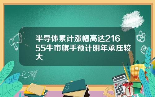 半导体累计涨幅高达21655牛市旗手预计明年承压较大