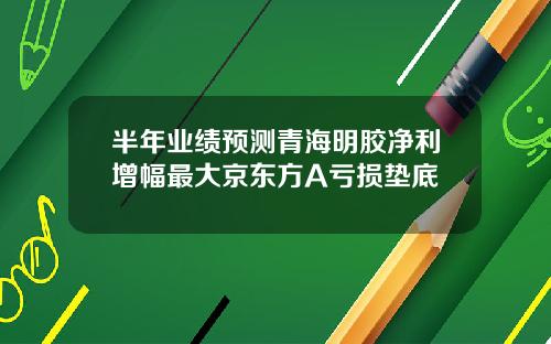 半年业绩预测青海明胶净利增幅最大京东方A亏损垫底
