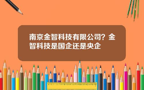 南京金智科技有限公司？金智科技是国企还是央企