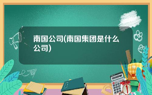 南国公司(南国集团是什么公司)