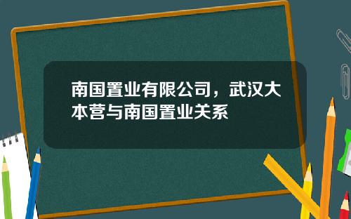 南国置业有限公司，武汉大本营与南国置业关系