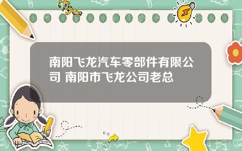 南阳飞龙汽车零部件有限公司 南阳市飞龙公司老总