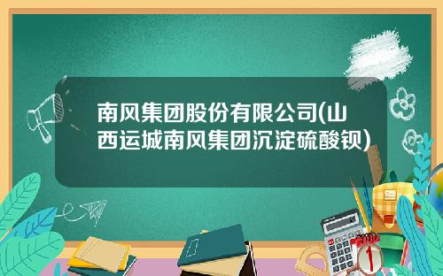 南风集团股份有限公司(山西运城南风集团沉淀硫酸钡)