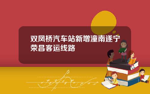 双凤桥汽车站新增潼南遂宁荣昌客运线路
