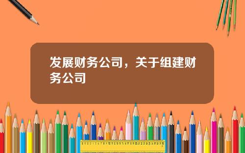发展财务公司，关于组建财务公司