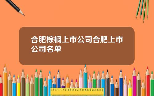 合肥棕榈上市公司合肥上市公司名单