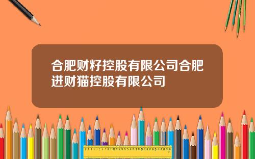 合肥财籽控股有限公司合肥进财猫控股有限公司