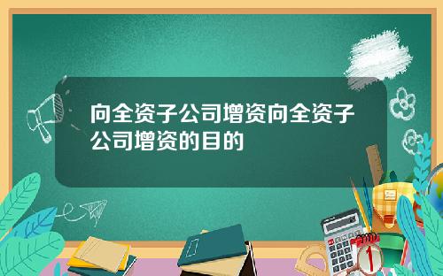 向全资子公司增资向全资子公司增资的目的