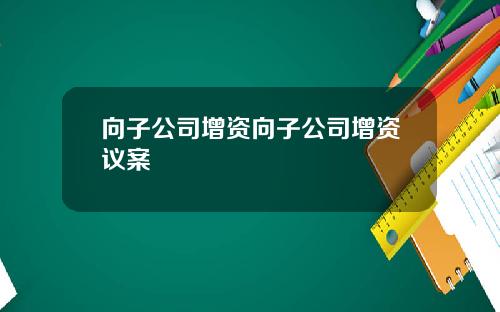 向子公司增资向子公司增资议案