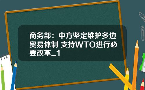 商务部：中方坚定维护多边贸易体制 支持WTO进行必要改革_1