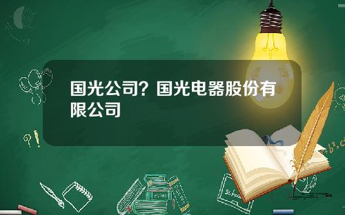 国光公司？国光电器股份有限公司