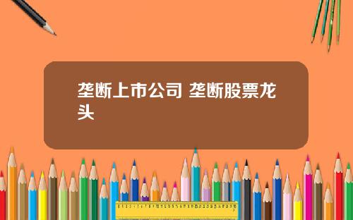 垄断上市公司 垄断股票龙头