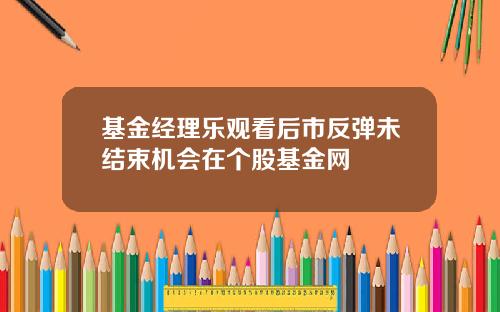 基金经理乐观看后市反弹未结束机会在个股基金网