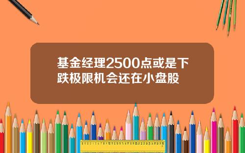 基金经理2500点或是下跌极限机会还在小盘股