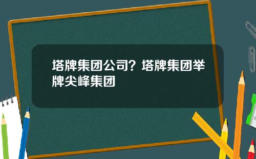 塔牌集团公司？塔牌集团举牌尖峰集团