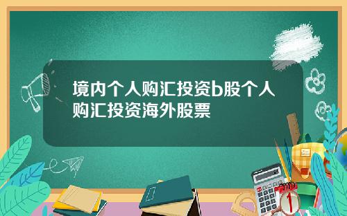 境内个人购汇投资b股个人购汇投资海外股票 境内个人购汇投资b股个人购汇投资海外股票