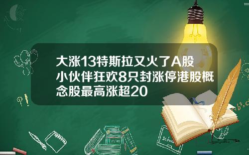 大涨13特斯拉又火了A股小伙伴狂欢8只封涨停港股概念股最高涨超20