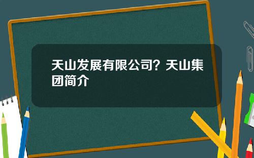 天山发展有限公司？天山集团简介