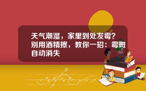 天气潮湿，家里到处发霉？别用酒精擦，教你一招：霉斑自动消失