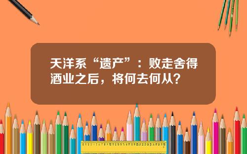 天洋系“遗产”：败走舍得酒业之后，将何去何从？