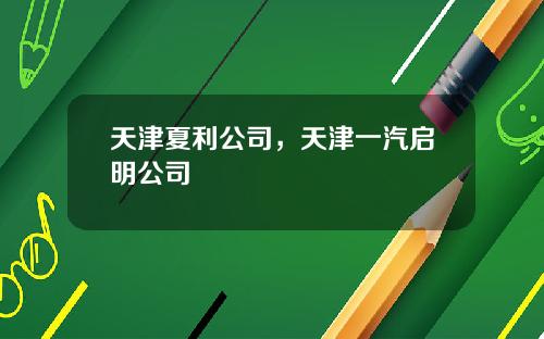 天津夏利公司，天津一汽启明公司