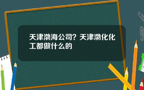 天津渤海公司？天津渤化化工都做什么的