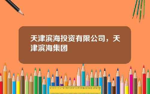 天津滨海投资有限公司，天津滨海集团