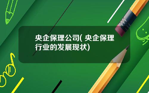 央企保理公司( 央企保理行业的发展现状)