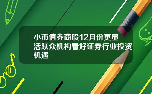 小市值券商股12月份更显活跃众机构看好证券行业投资机遇