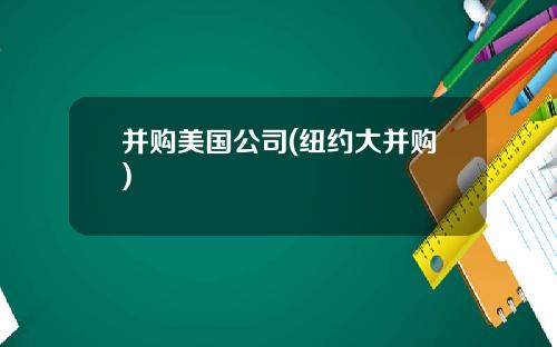 并购美国公司(纽约大并购)