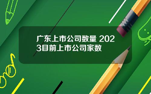 广东上市公司数量 2023目前上市公司家数