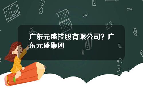 广东元盛控股有限公司？广东元盛集团